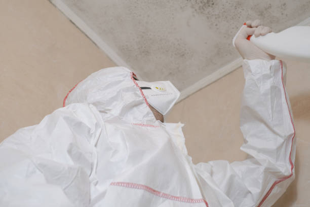 Best Mold Cleaning Services  in Wading River, NY